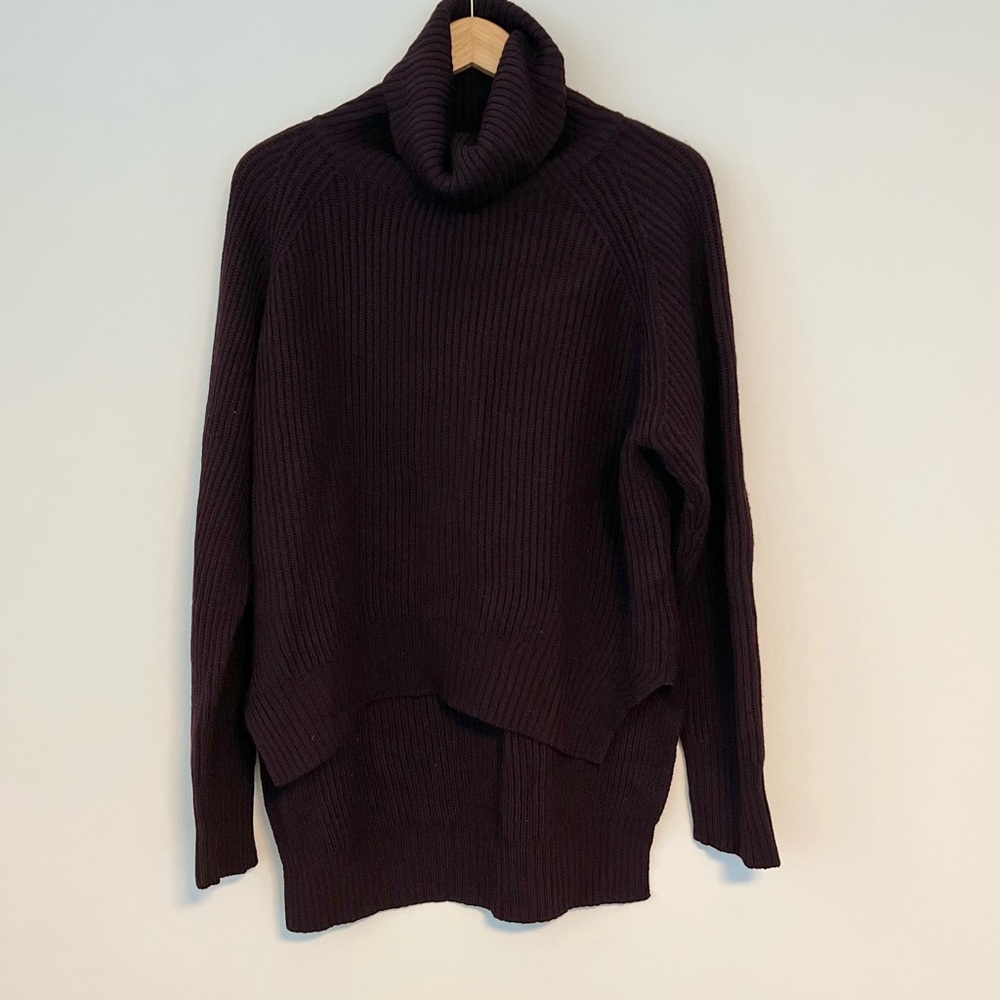 Aritzia Wilfred Free Turtleneck
